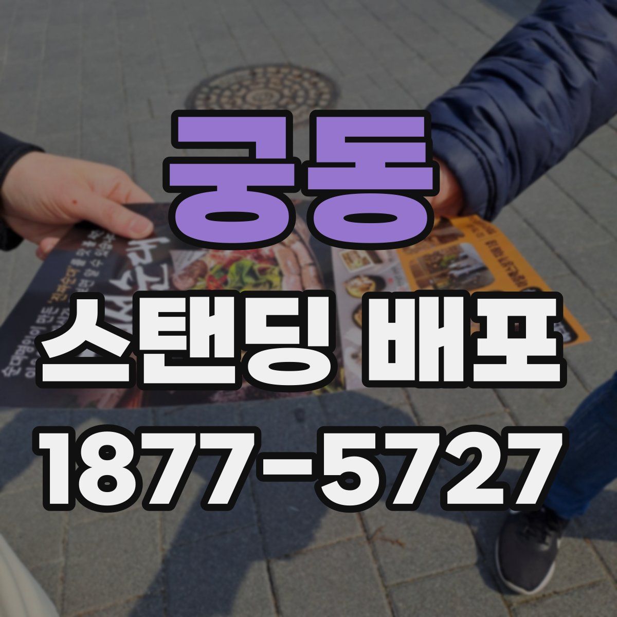 궁동 스탠딩 배포