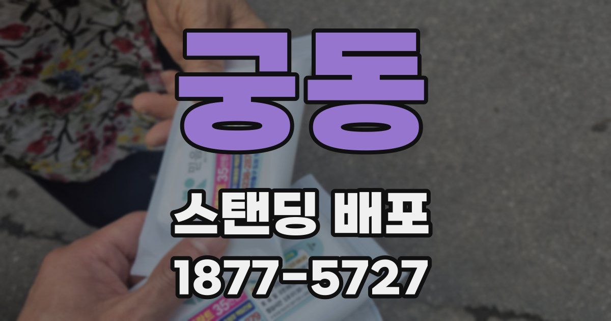 궁동 스탠딩 배포