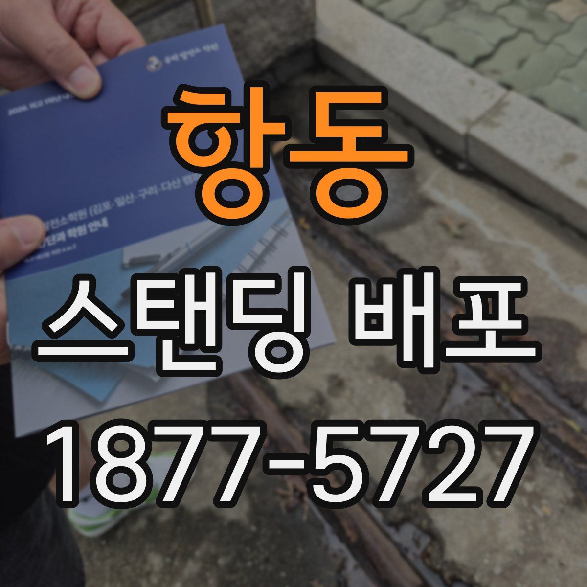 항동 스탠딩 배포