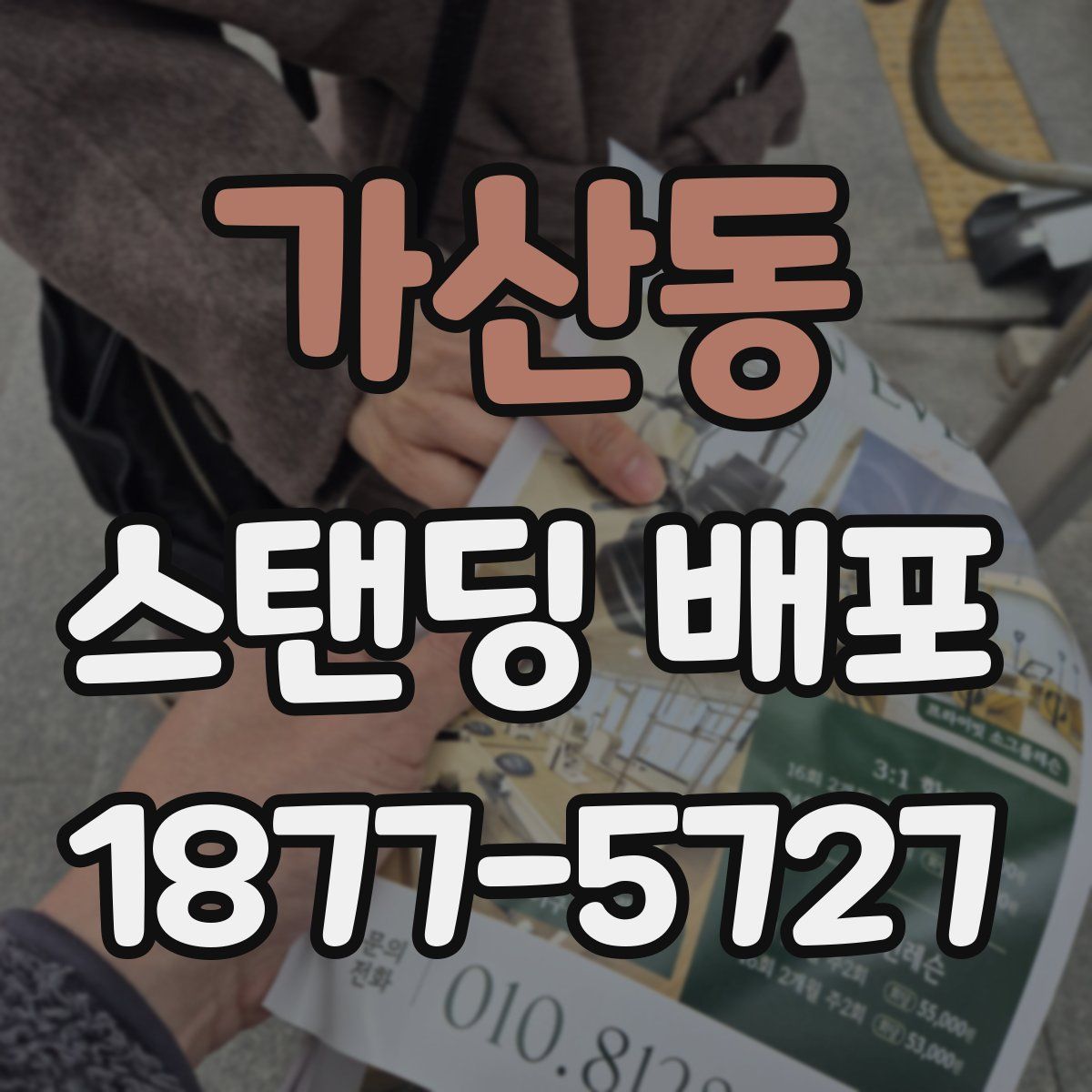 가산동 스탠딩 배포