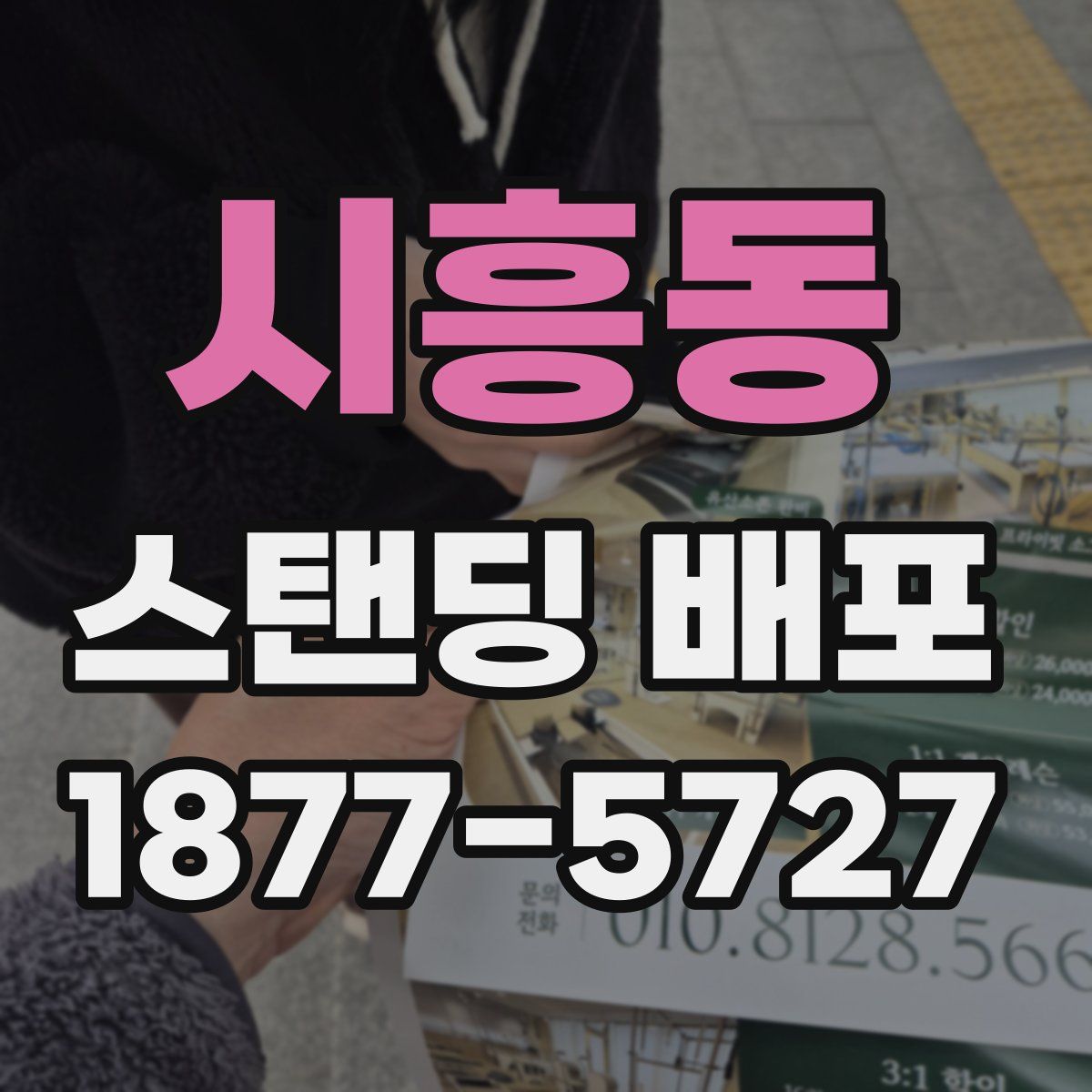 시흥동 스탠딩 배포