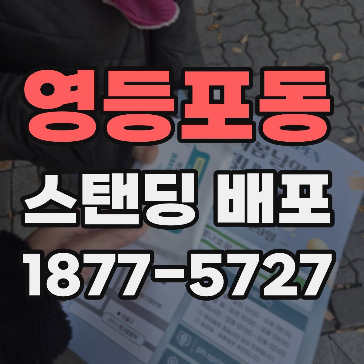 영등포동 스탠딩 배포