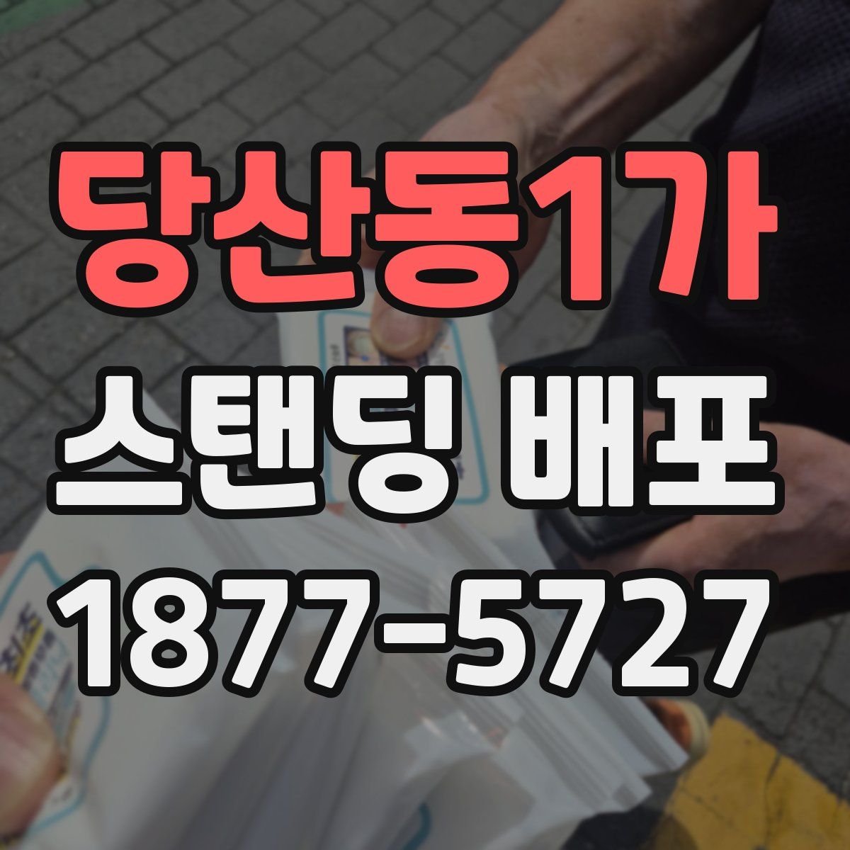 당산동1가 스탠딩 배포