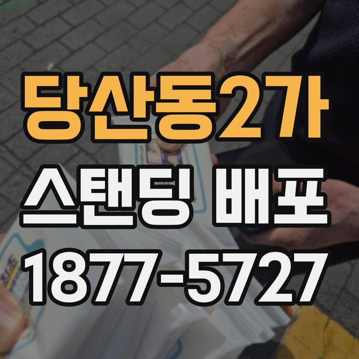 당산동2가 스탠딩 배포