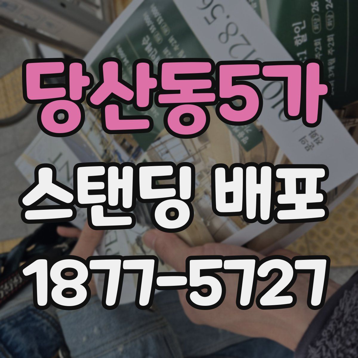 당산동5가 스탠딩 배포