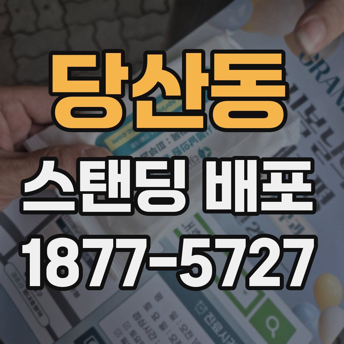 당산동 스탠딩 배포