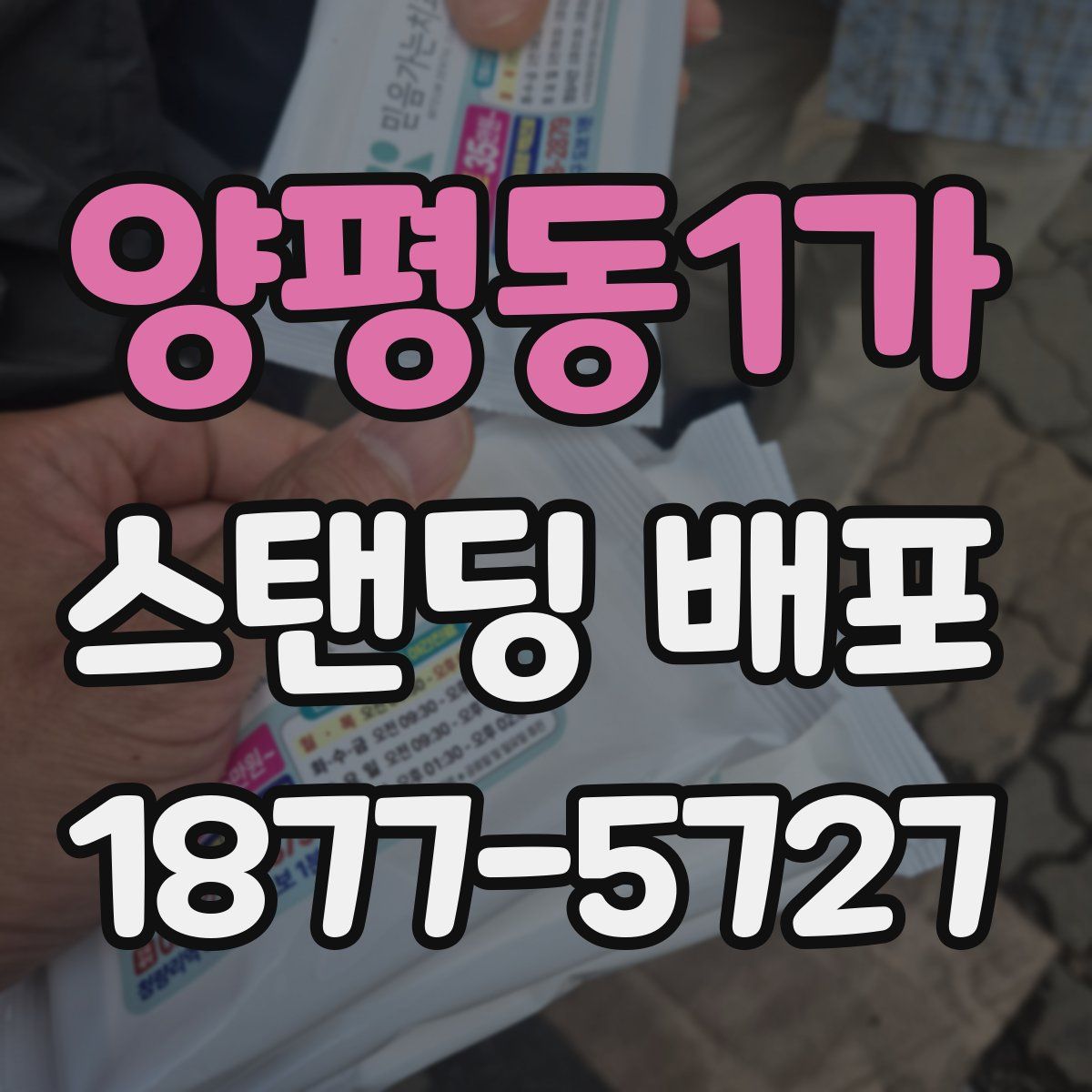 양평동1가 스탠딩 배포