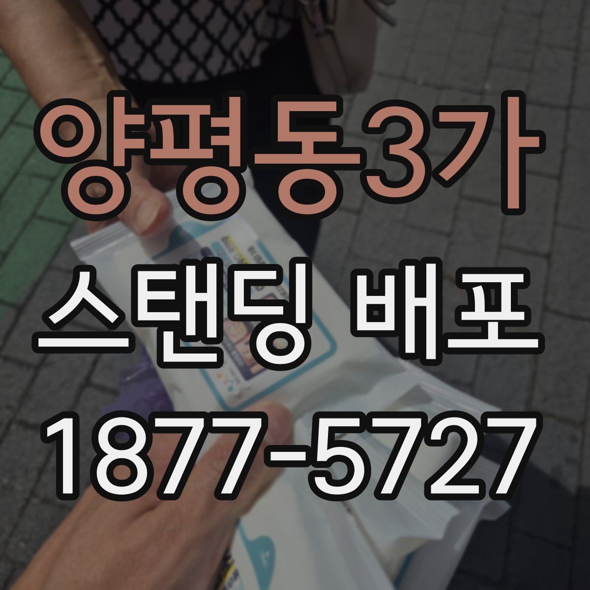 양평동3가 스탠딩 배포