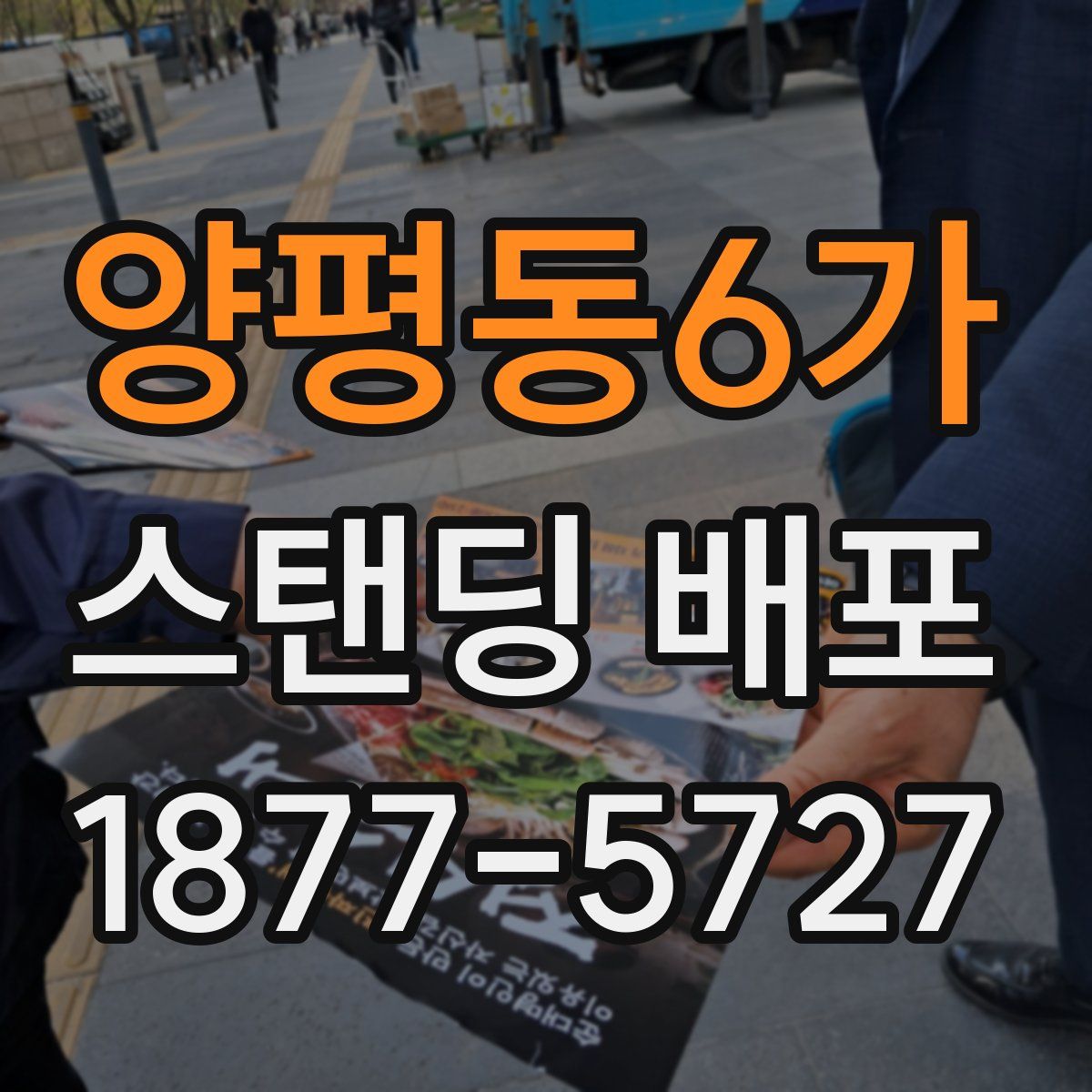 양평동6가 스탠딩 배포