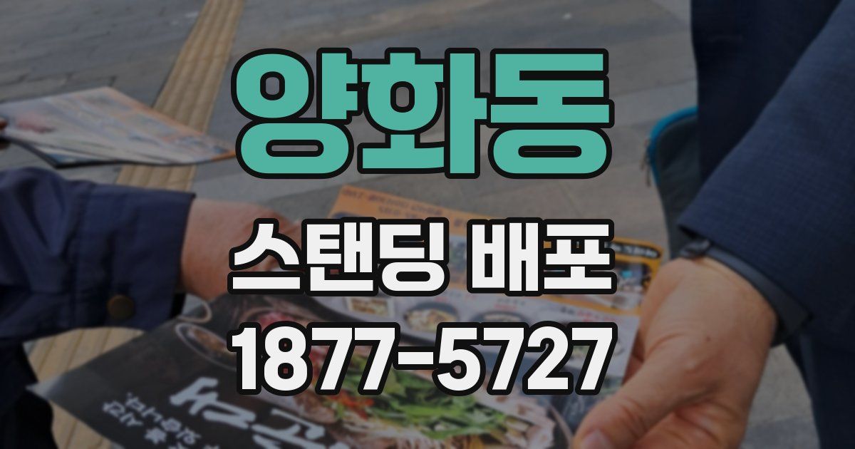 양화동 스탠딩 배포
