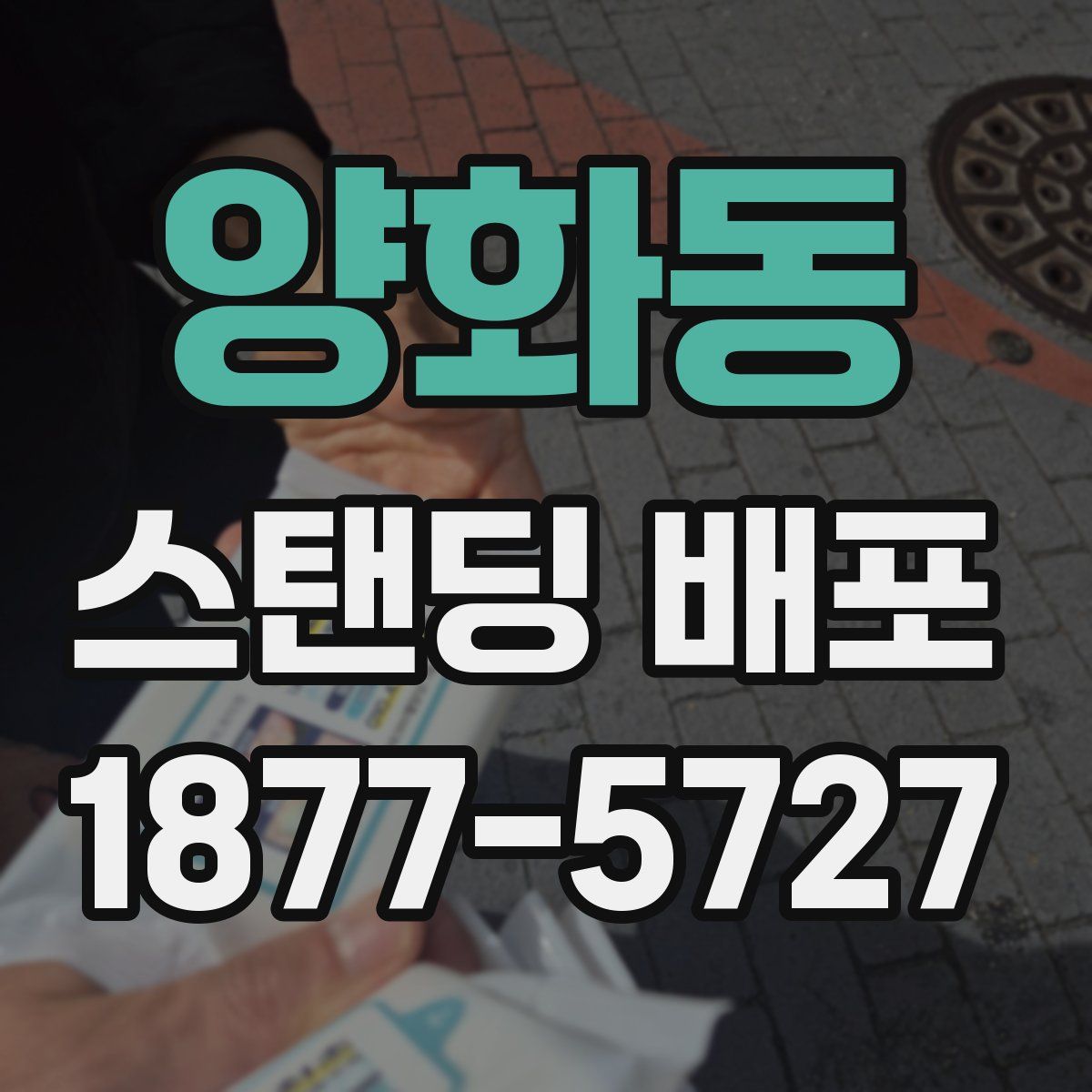 양화동 스탠딩 배포