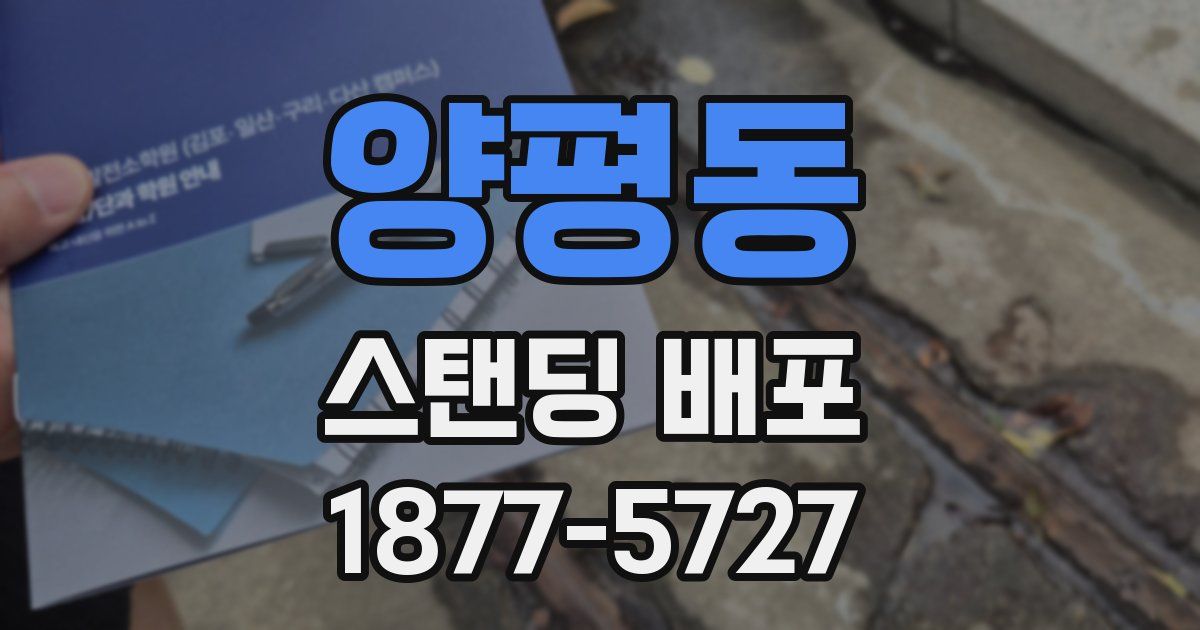양평동 스탠딩 배포