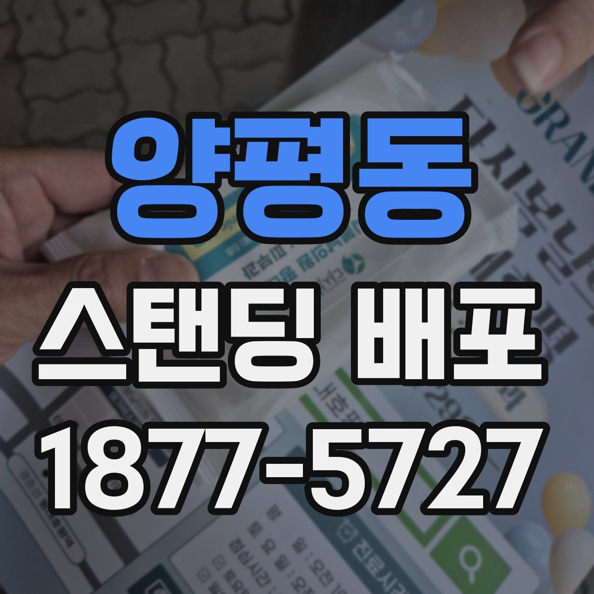 양평동 스탠딩 배포