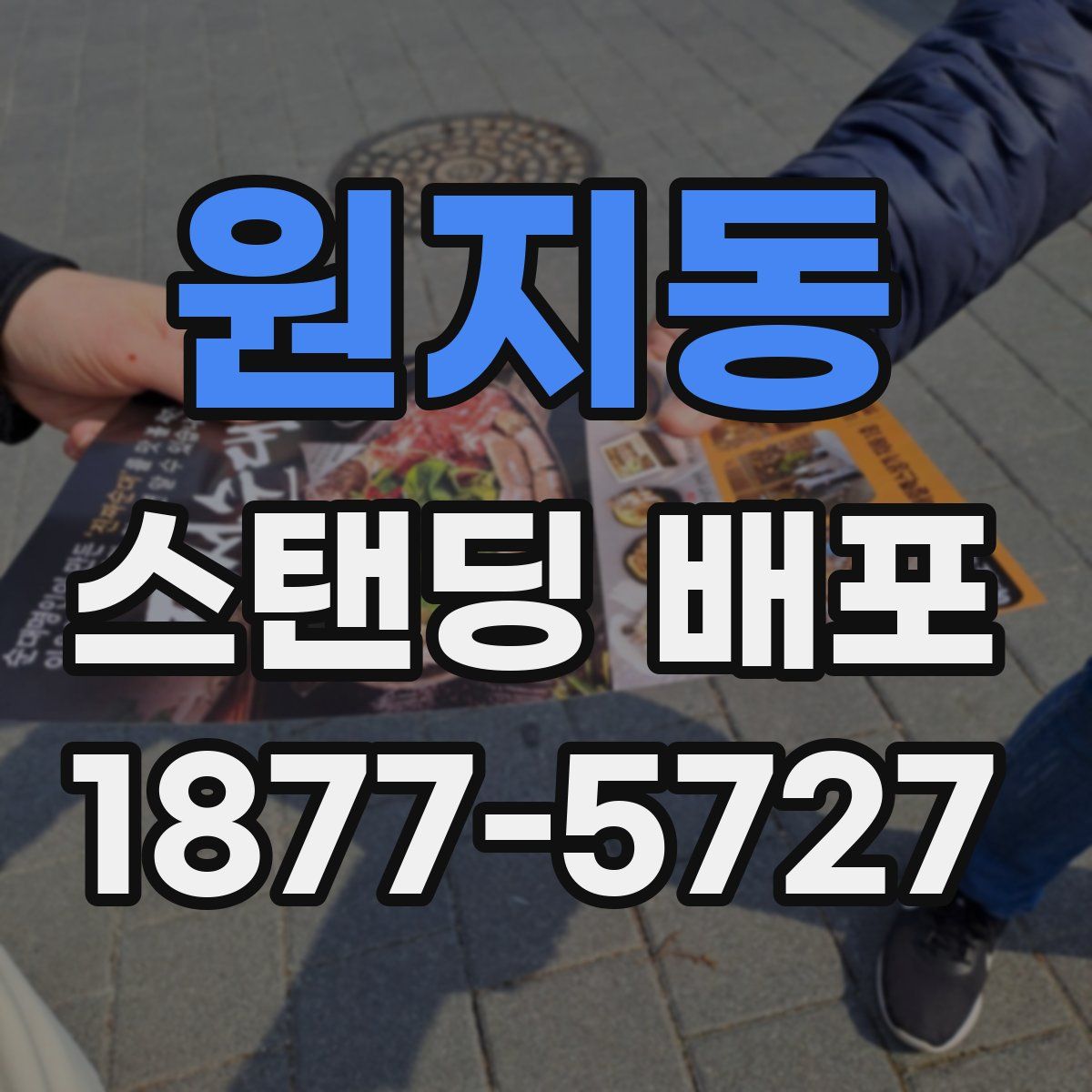 원지동 스탠딩 배포