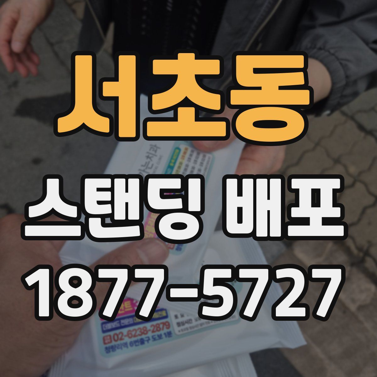 서초동 스탠딩 배포