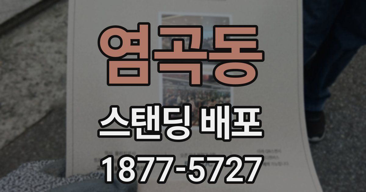 염곡동 스탠딩 배포