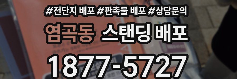 염곡동 스탠딩 배포