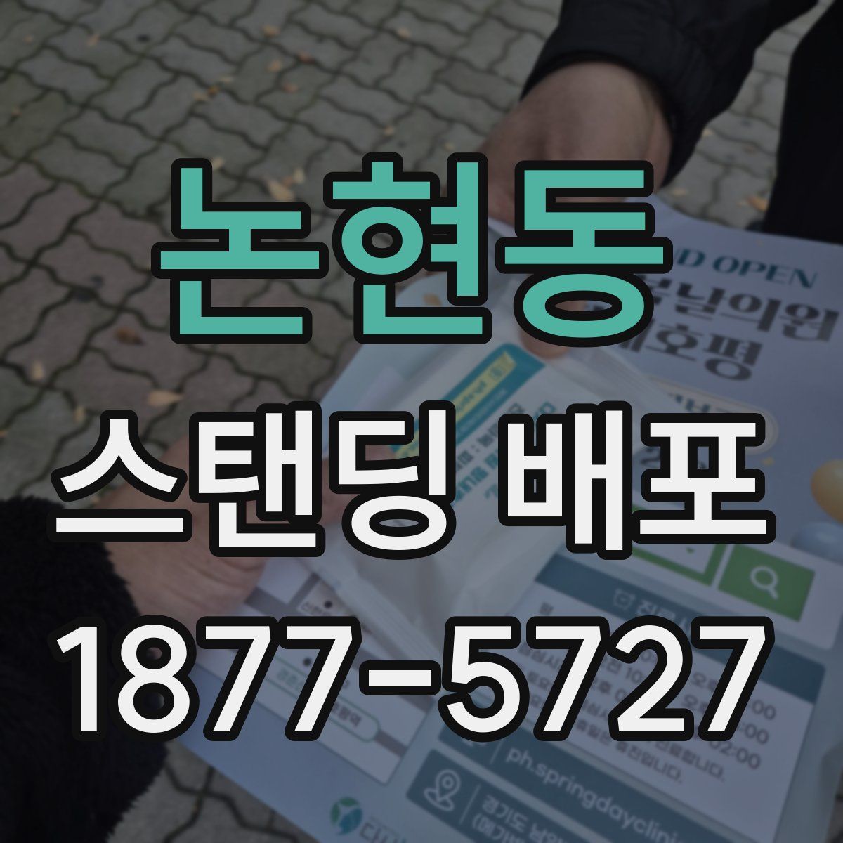 논현동 스탠딩 배포
