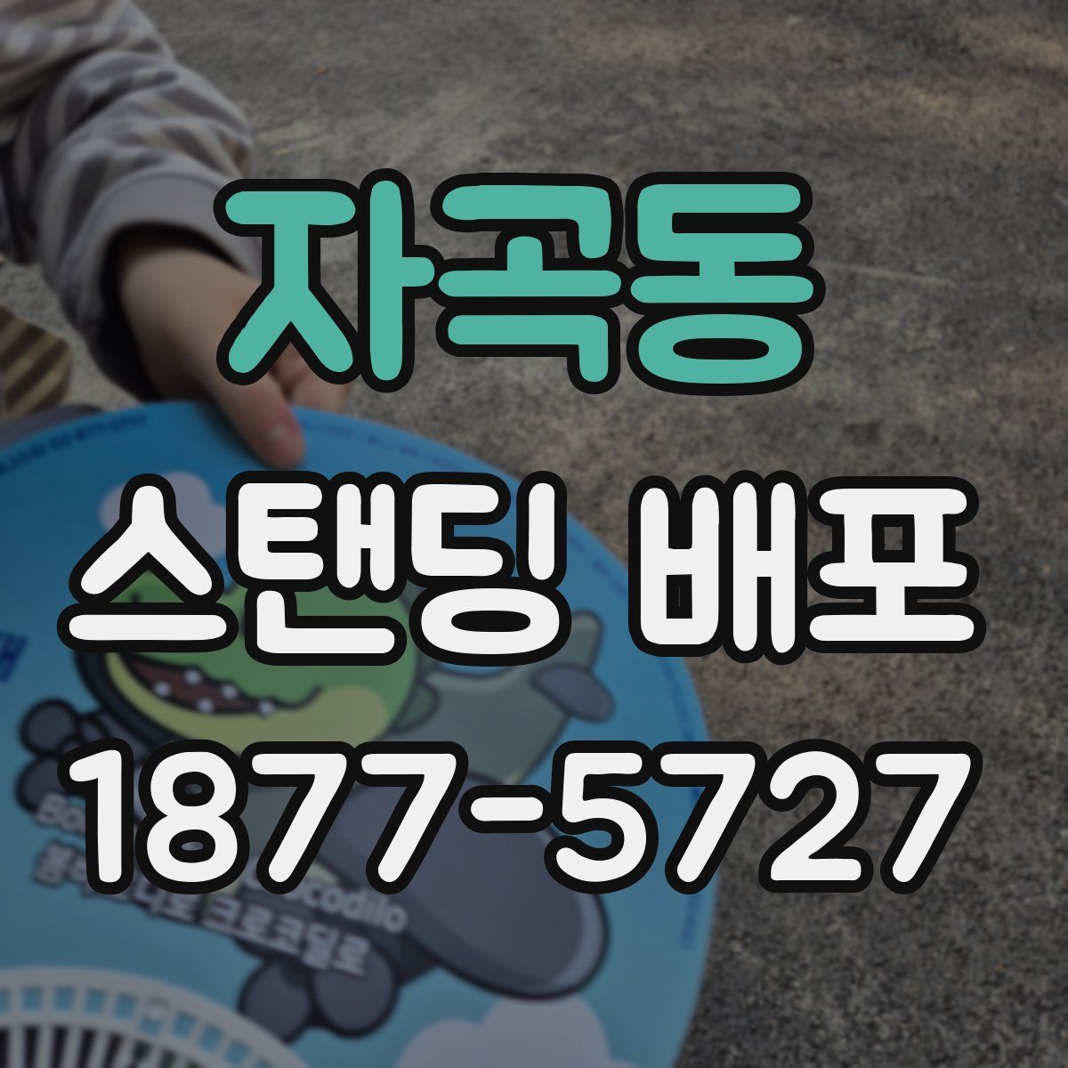 자곡동 스탠딩 배포