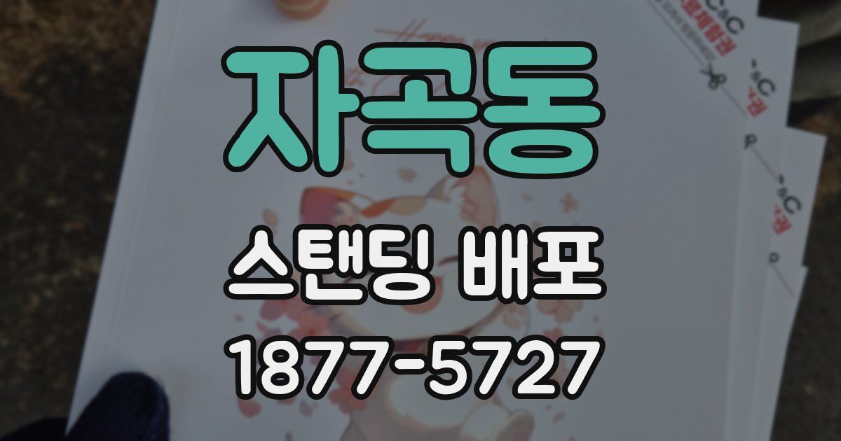 자곡동 스탠딩 배포