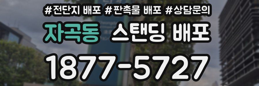 자곡동 스탠딩 배포
