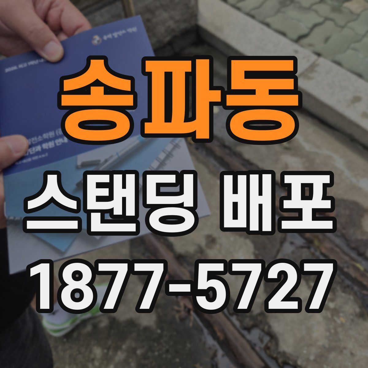송파동 스탠딩 배포