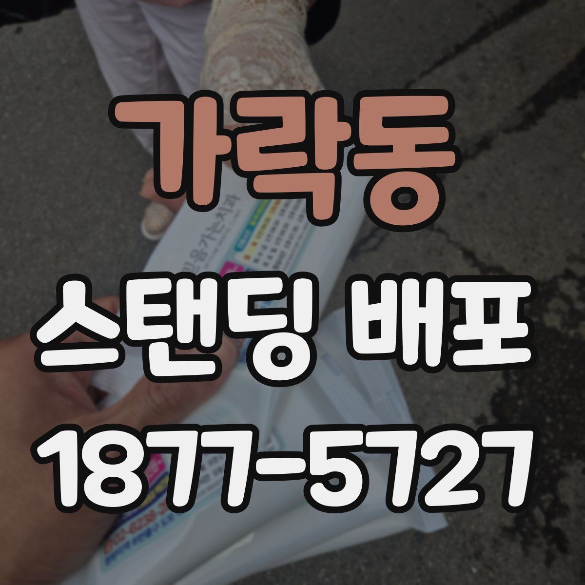 가락동 스탠딩 배포