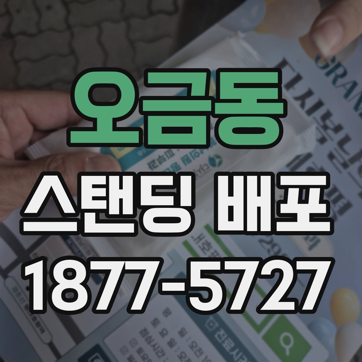 오금동 스탠딩 배포