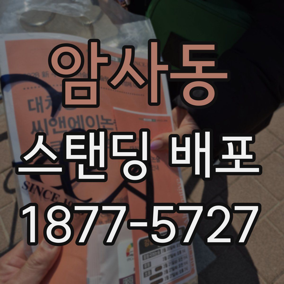 암사동 스탠딩 배포