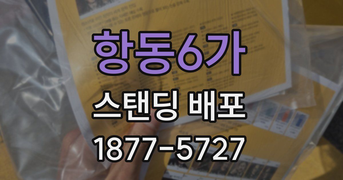 항동6가 스탠딩 배포