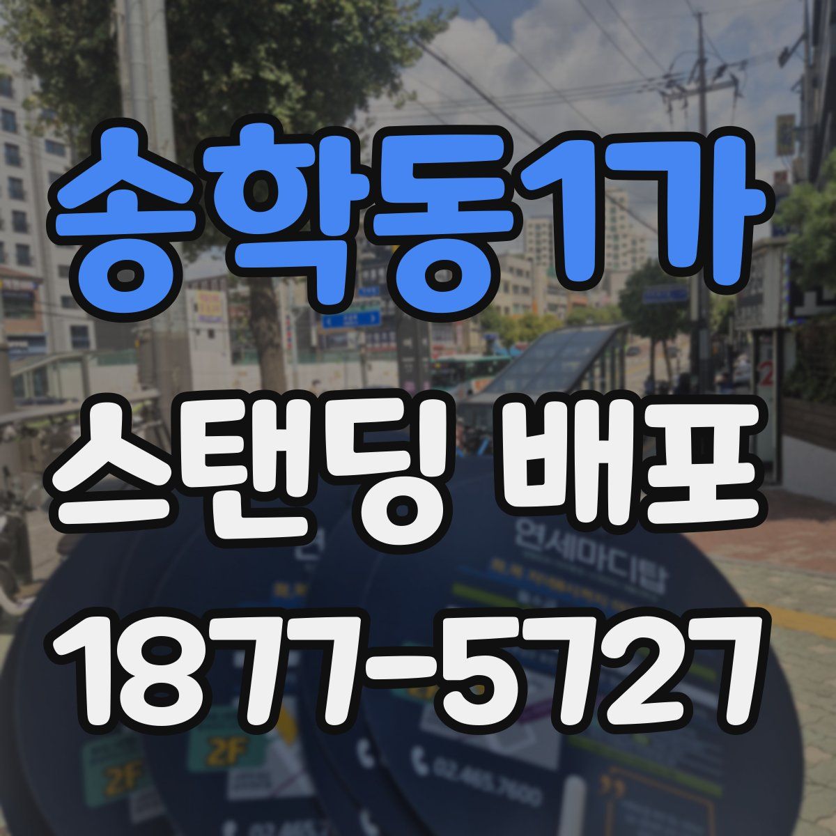 송학동1가 스탠딩 배포