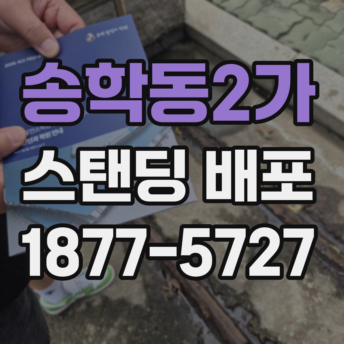 송학동2가 스탠딩 배포