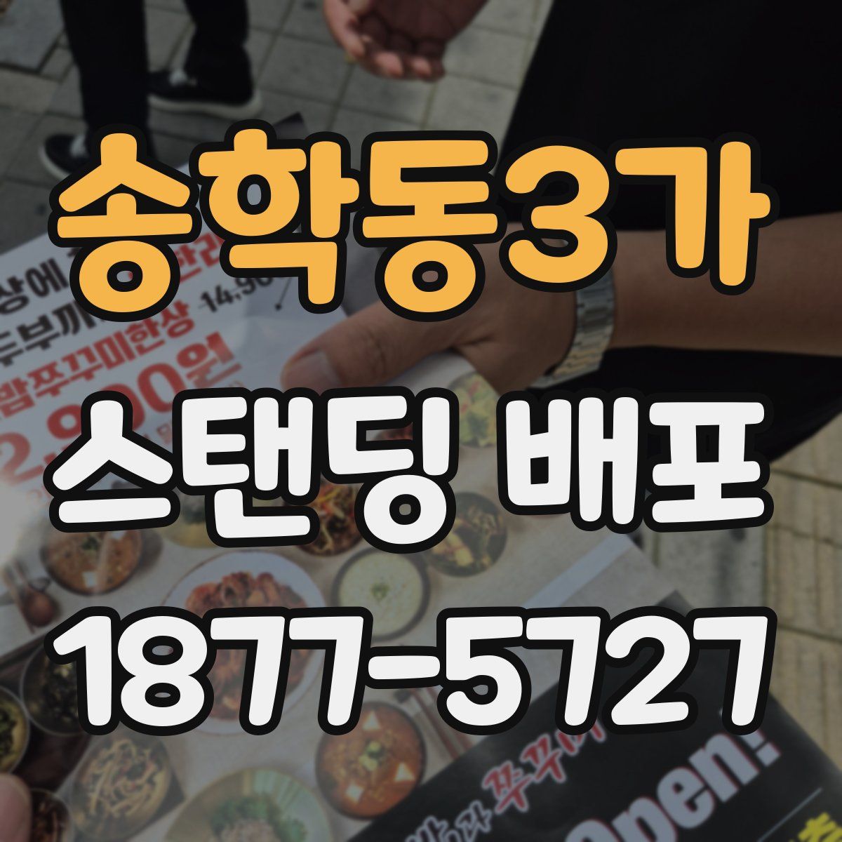 송학동3가 스탠딩 배포