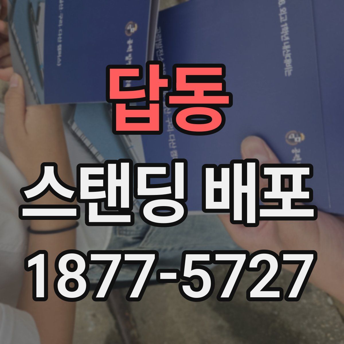답동 스탠딩 배포