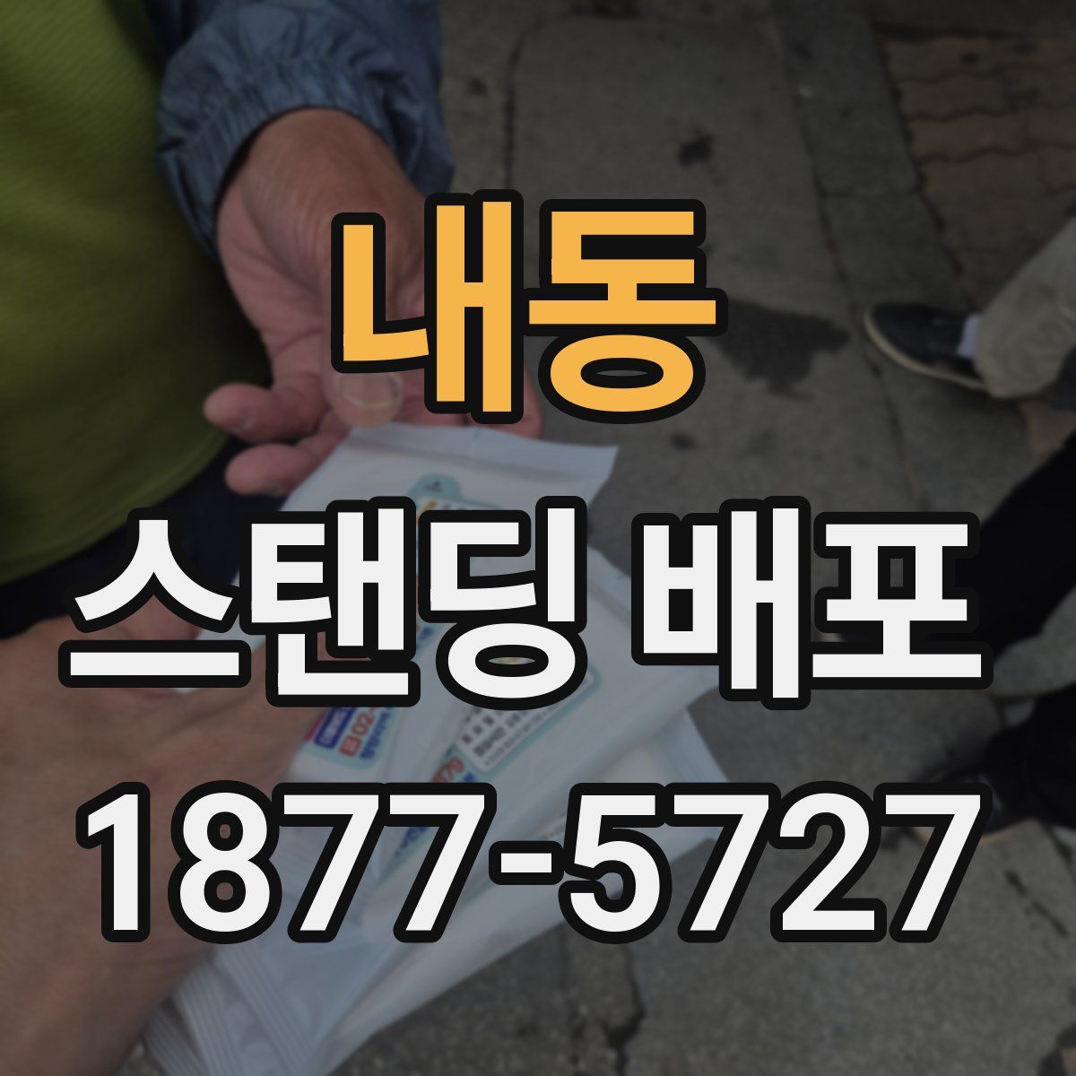 내동 스탠딩 배포
