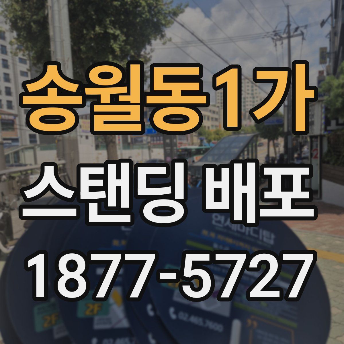 송월동1가 스탠딩 배포