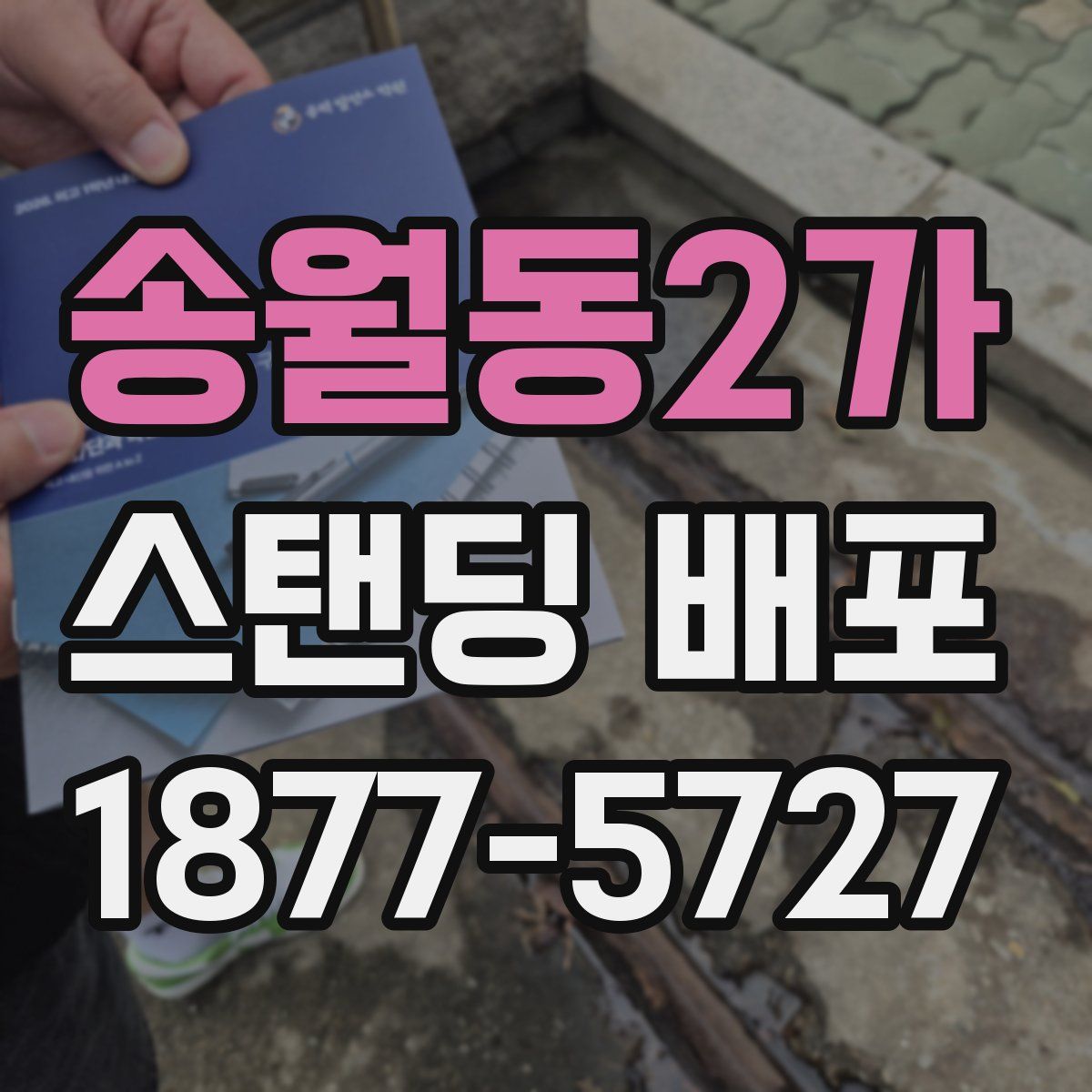 송월동2가 스탠딩 배포
