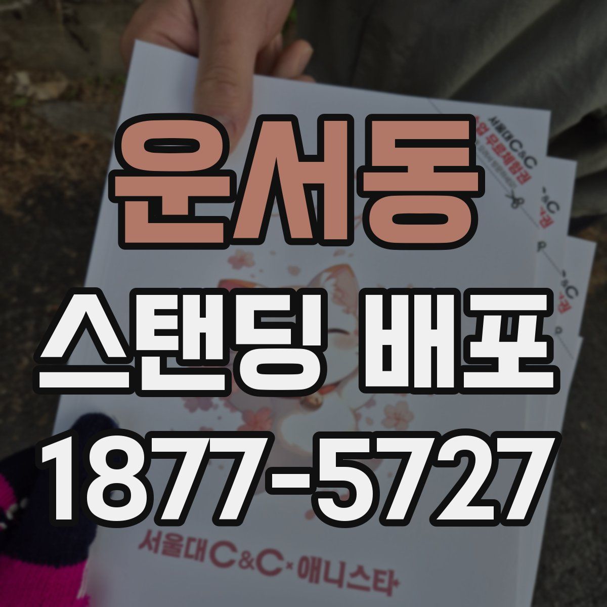 운서동 스탠딩 배포