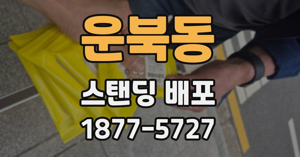 운북동 스탠딩 배포