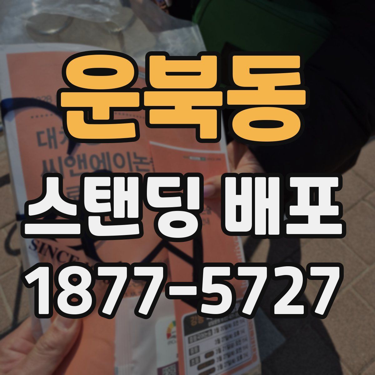 운북동 스탠딩 배포