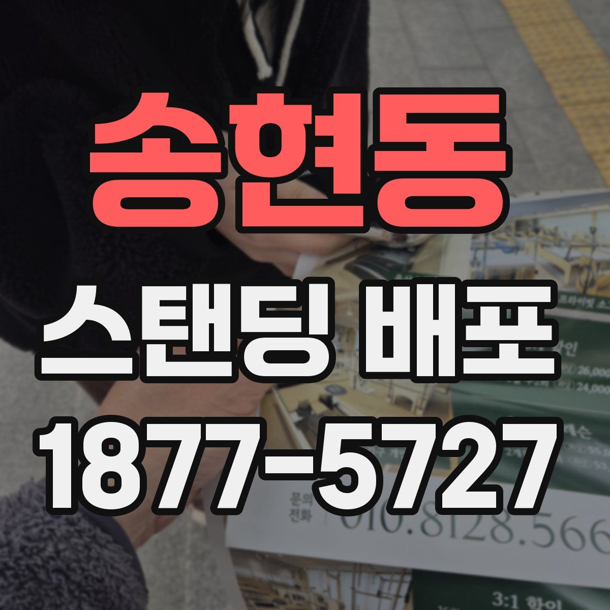 송현동 스탠딩 배포