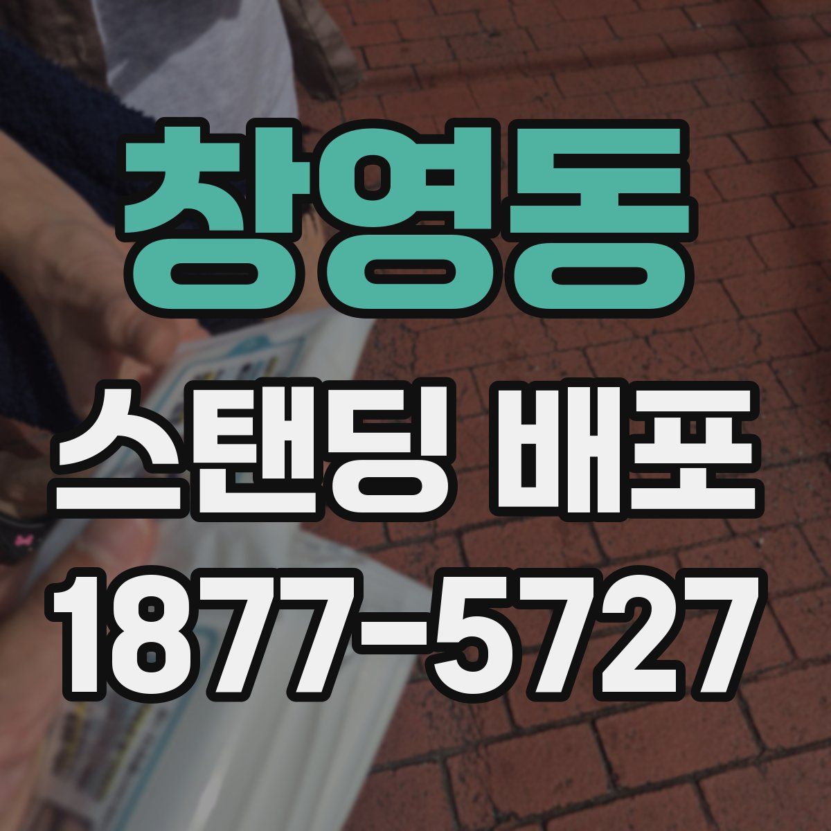 창영동 스탠딩 배포