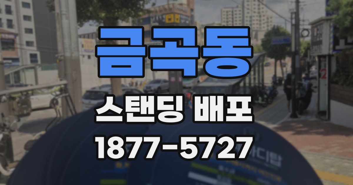 금곡동 스탠딩 배포