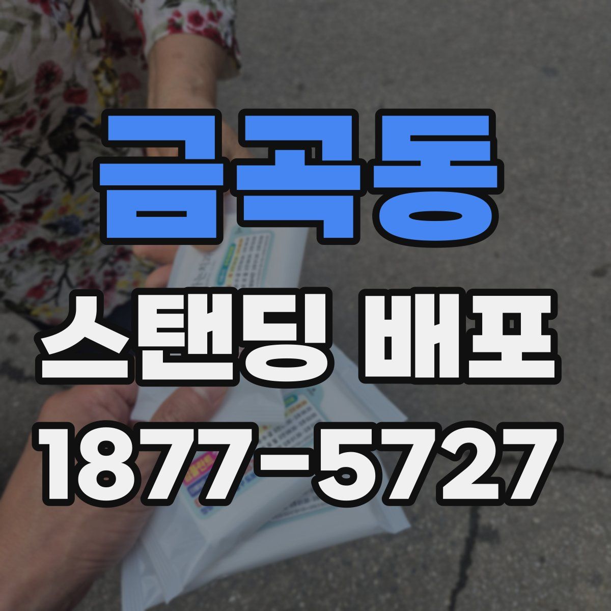 금곡동 스탠딩 배포