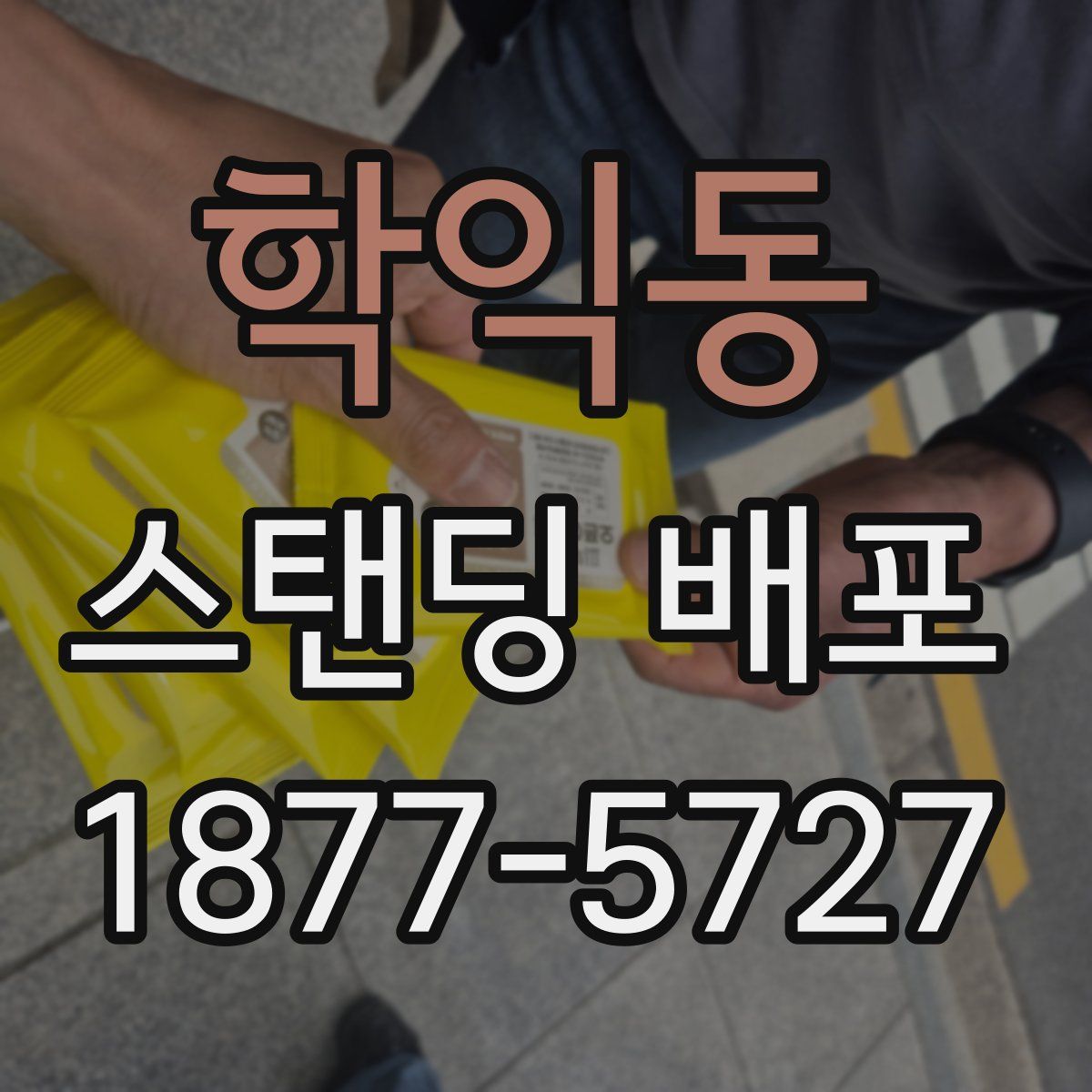 학익동 스탠딩 배포