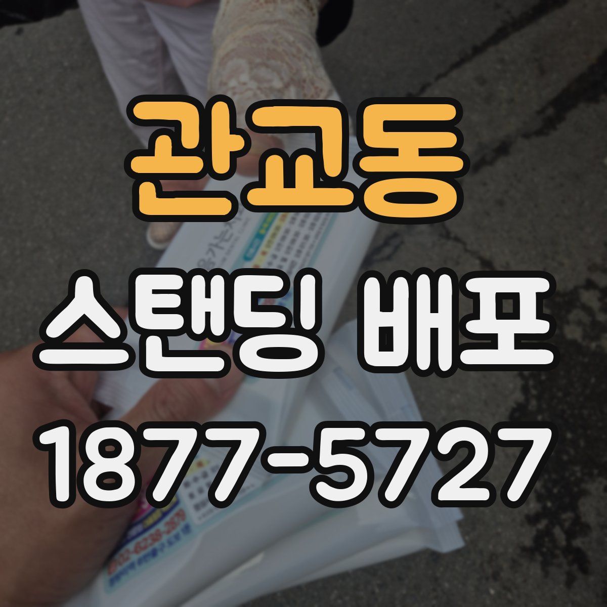 관교동 스탠딩 배포