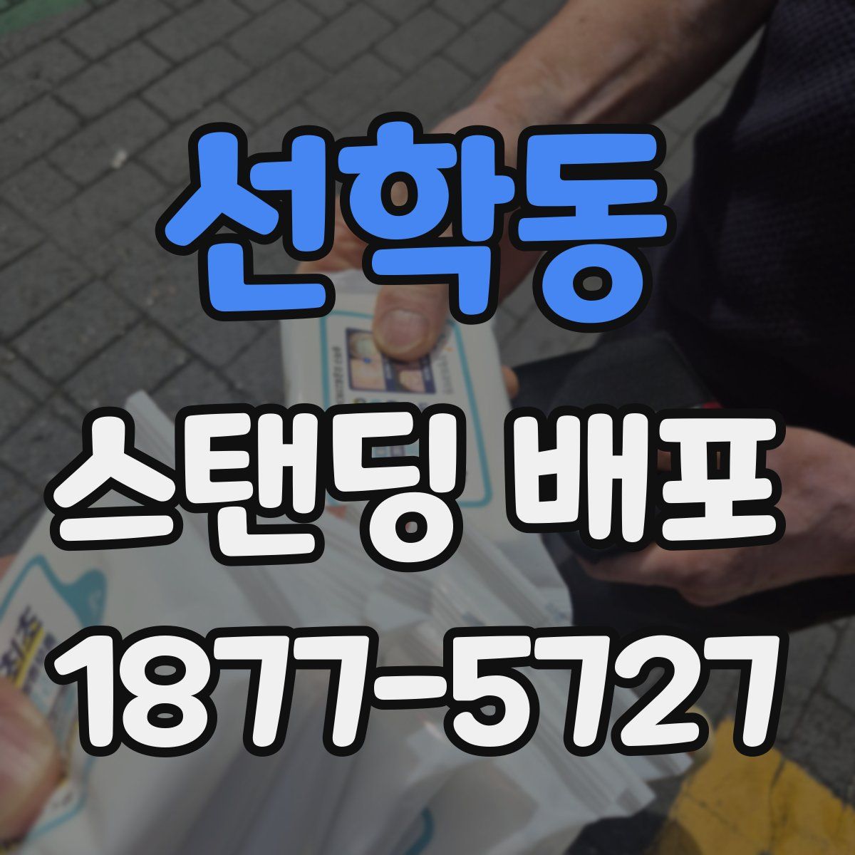 선학동 스탠딩 배포