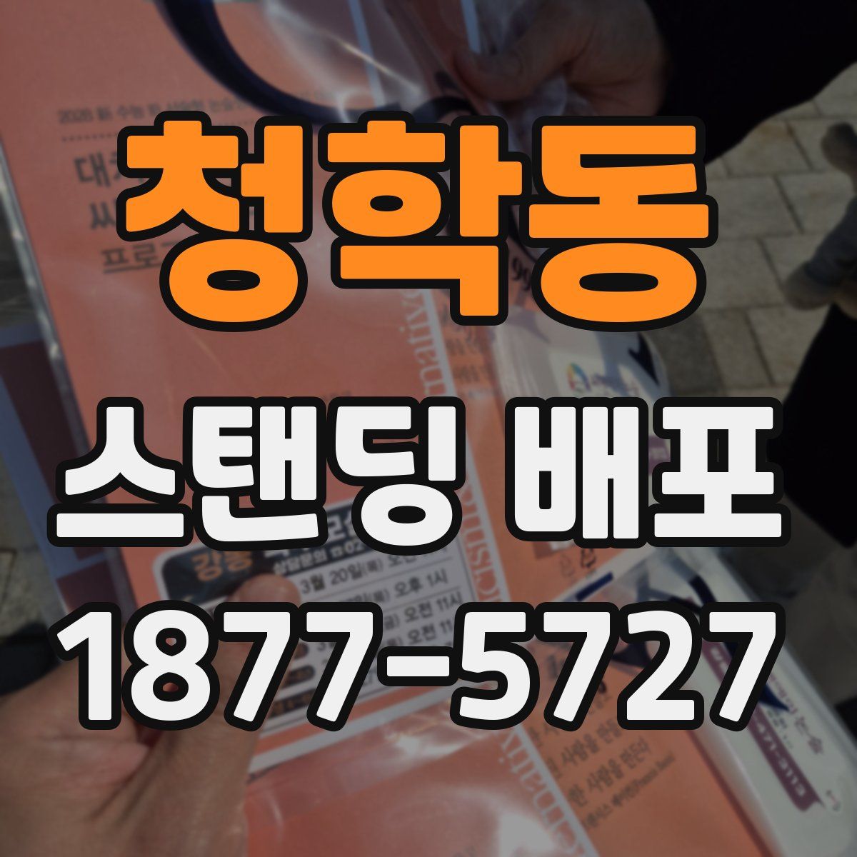 청학동 스탠딩 배포