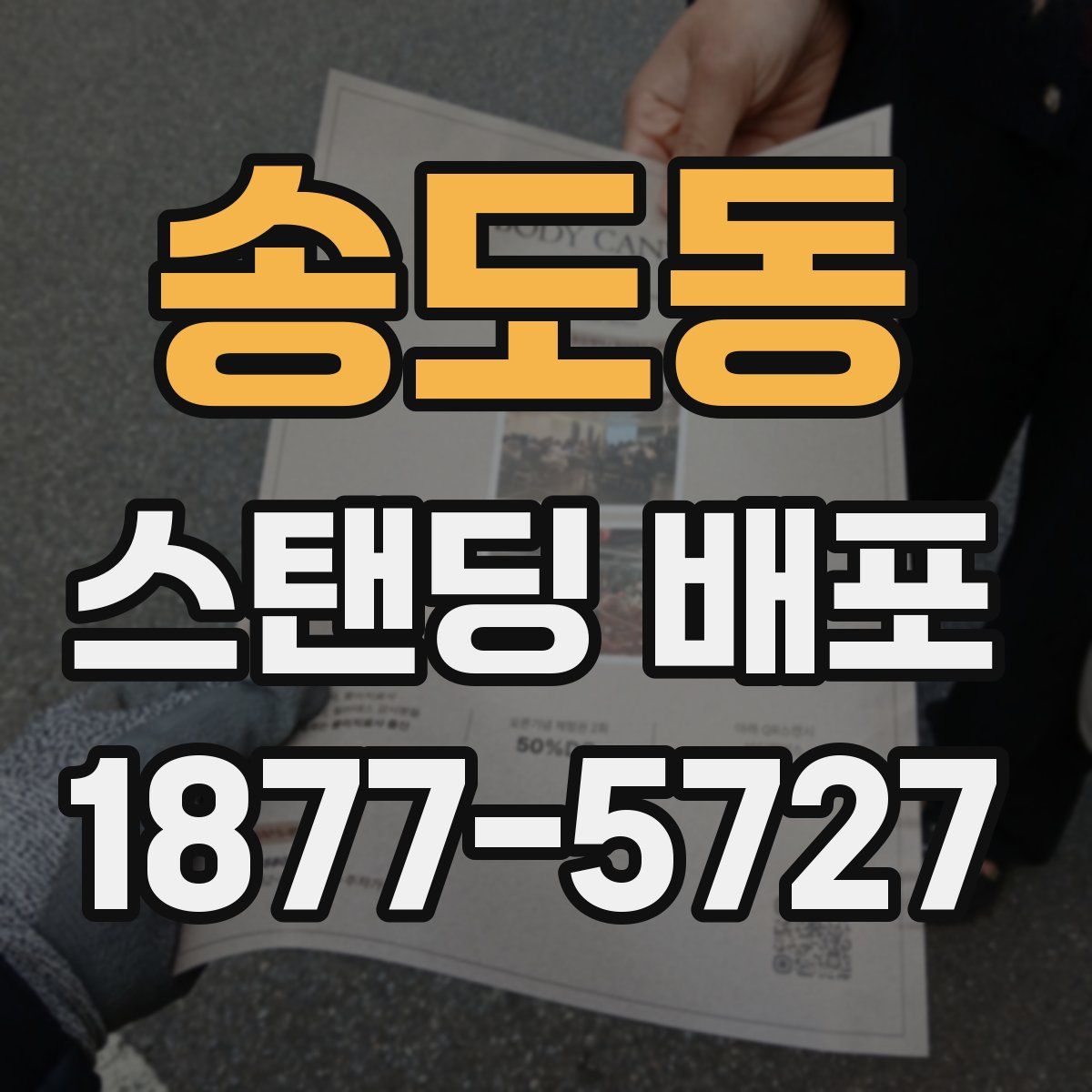 송도동 스탠딩 배포