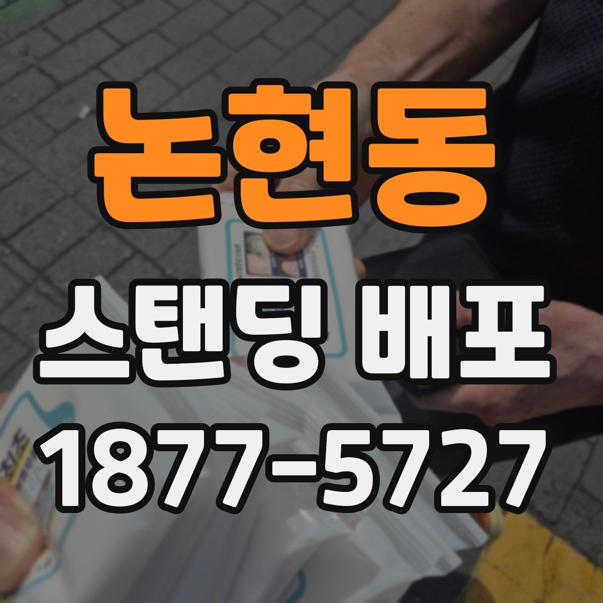 논현동 스탠딩 배포